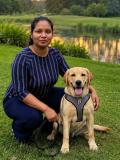 Dr Sachintha Weerasingh BVSc image Dr Sachintha Weerasingh BVSc